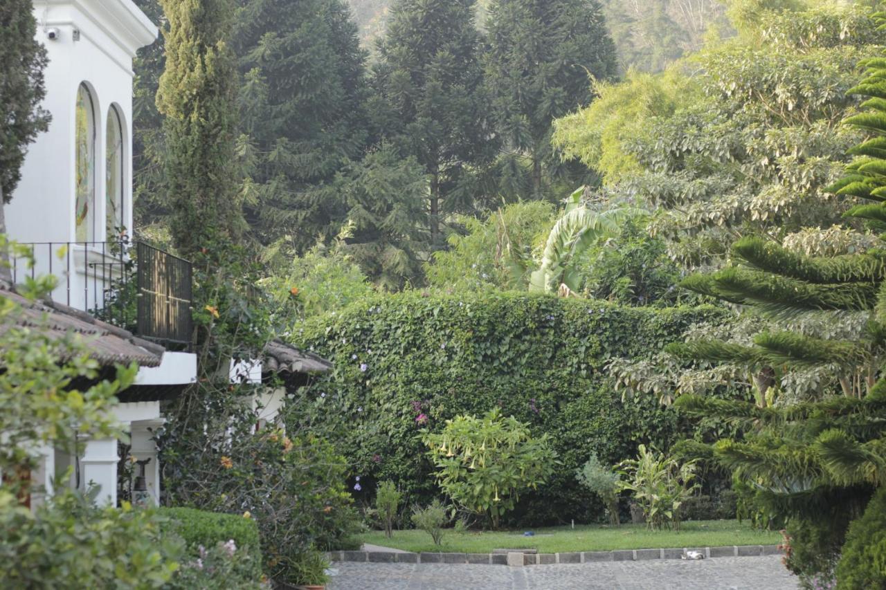 Hotel Y Jardines Casa Buho Антигуа-Гватемала Экстерьер фото